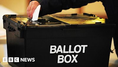 Abuse put people off election campaigning, says voting watchdog