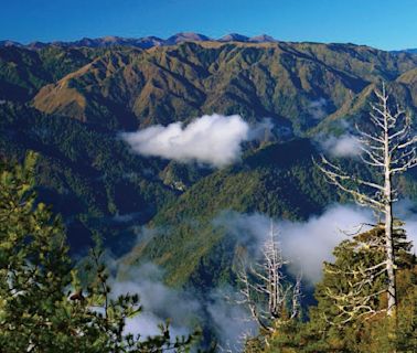 崔祖錫《島嶼裡的遠方》：為什麼說比起高山百岳，「中級山」才是台灣攀登起來最困難的山？ - TNL The News Lens 關鍵評論網