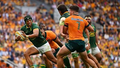 Honeymoon over for Joe Schmidt as Boks give young Wallabies a reality check