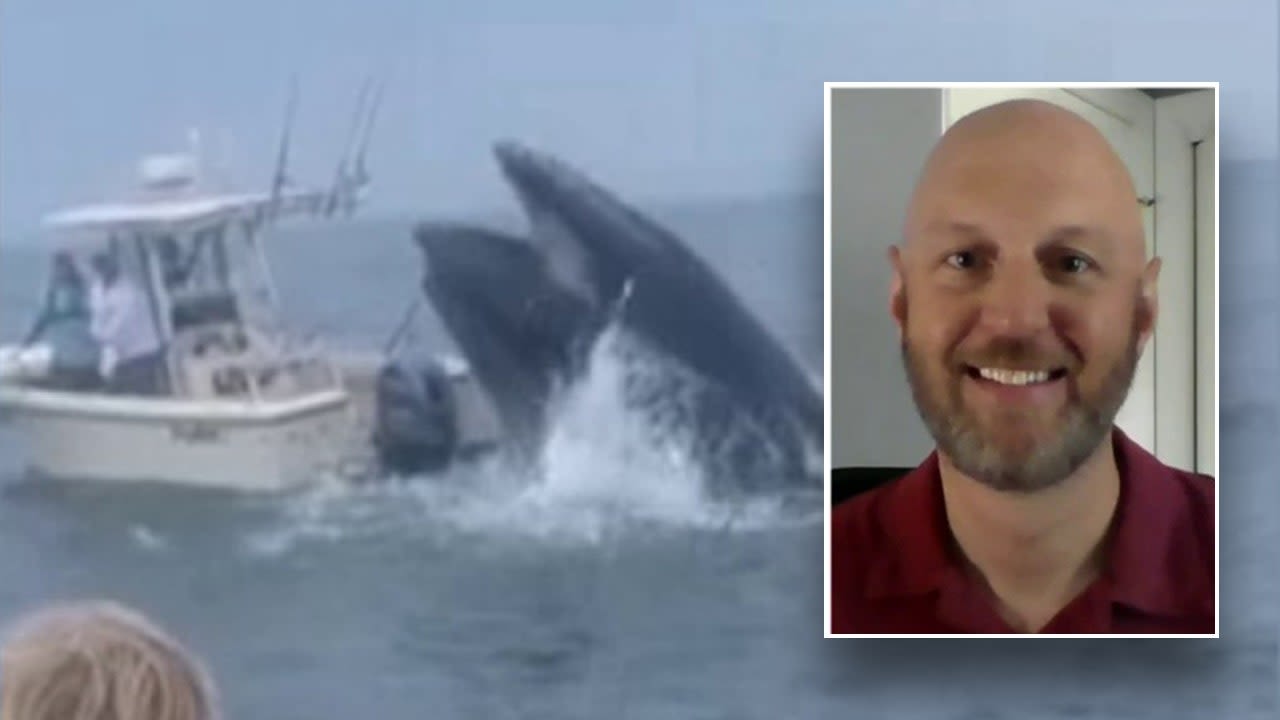 Fisherman whose boat was capsized by breaching whale speaks out: 'Was in fight or flight mode'