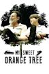 My Sweet Orange Tree (film)