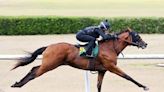 Trio of Fillies Clock Quickest Eighth at OBS June Day 4