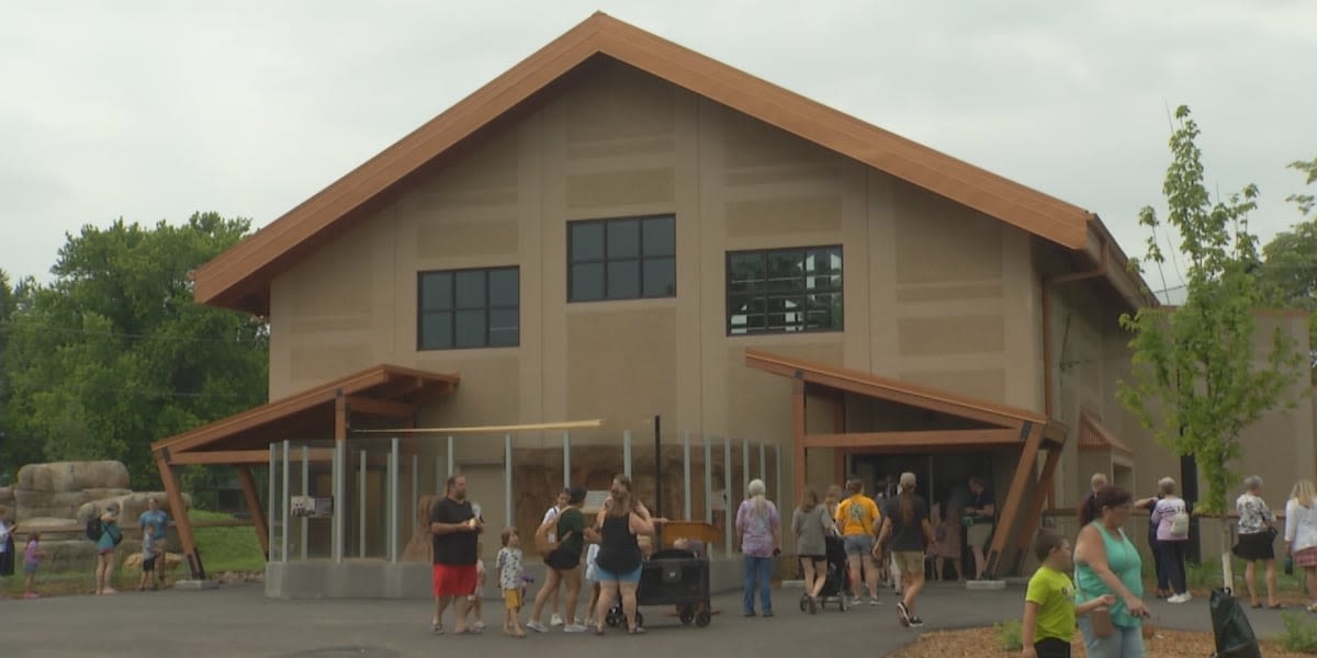 New African lion exhibit now open at the Great Plains Zoo