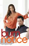 Burn Notice - Season 5