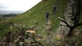 Dos acusados de talar el sicomoro conocido como el "árbol de Robin Hood" en Inglaterra