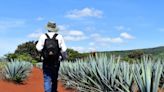 Consejo Regulador del Tequila trabaja de la mano con organizaciones en beneficio de la agroindustria tequilera