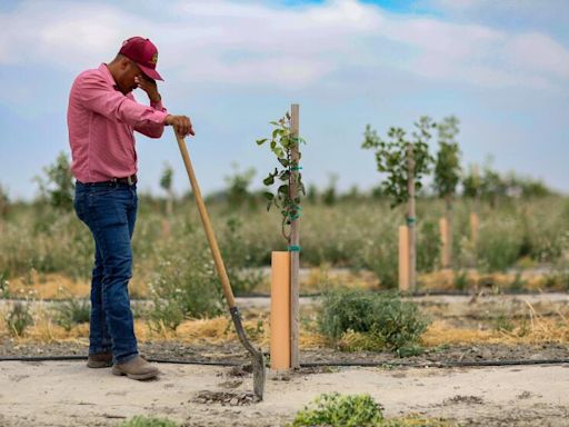 As California seeks to curb groundwater declines, farmers in one county fight back in court