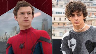 When Timothee Chalamet Was Chosen Over Tom Holland For Spider-Man But The Former Got Rejected: “I Read Twice And...