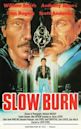 Slow Burn (1989 film)