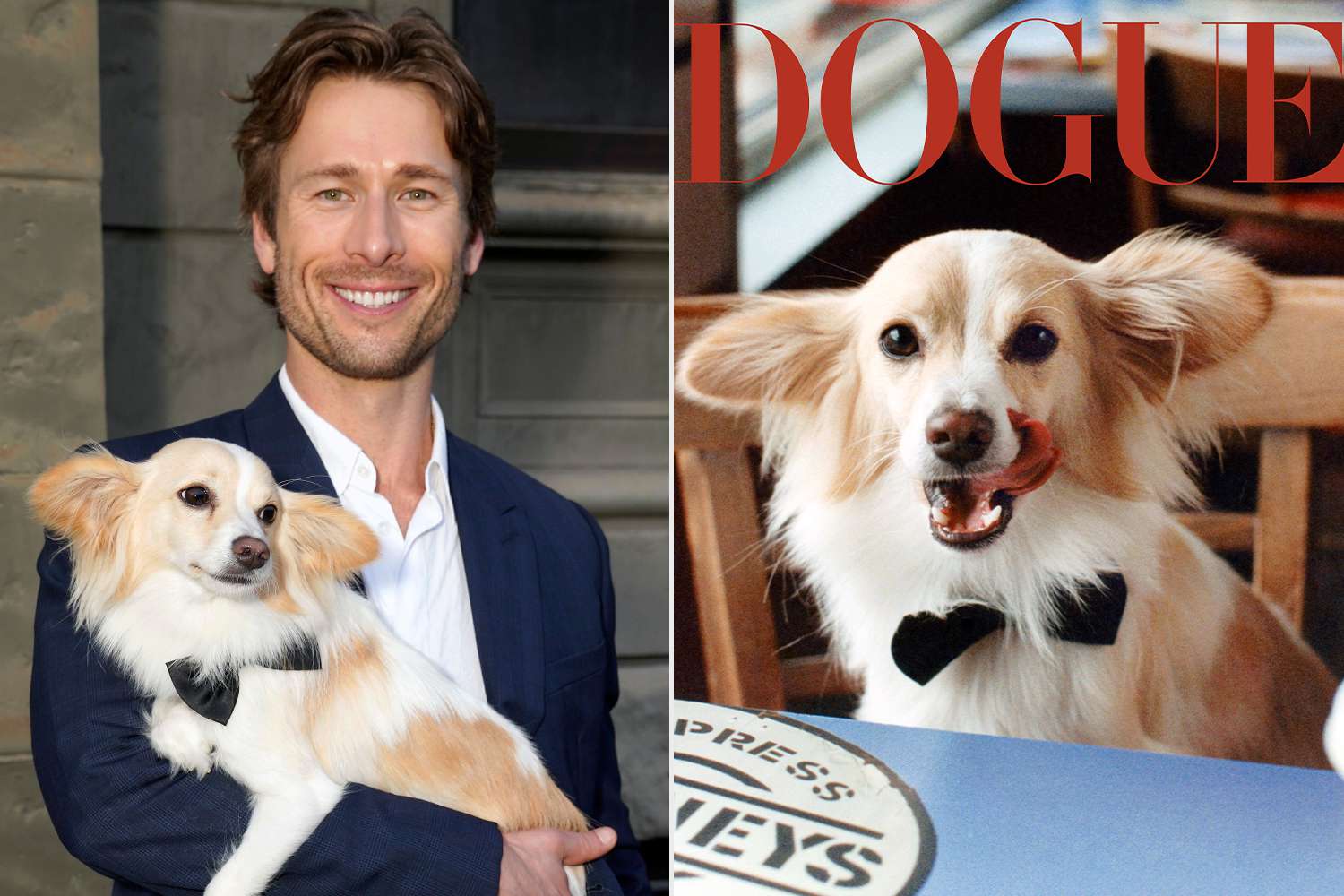 Glen Powell Reveals How 'Desperate' He Was to Adopt His Pup Brisket in Dog's 'Vogue' Cover Story