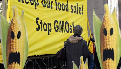 Eleventh-hour push for deal on ‘radical’ GMO deregulation