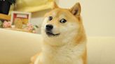 Kabosu, Dog Who Inspired Dogecoin And Shiba Inu, Is No More