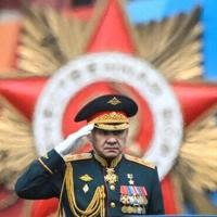 Putin removes defence minister Shoigu