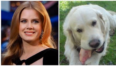 'Nightbitch': Amy Adams Plays a Stay-at-Home Mom Who Thinks She Is Turning Into a Canine