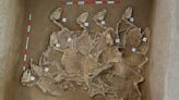 Sacrificial pits filled with 120 horse skeletons found in Bronze Age city in China