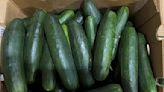 Salmonella outbreak may be linked to recalled cucumbers, CDC says - The Morning Sun