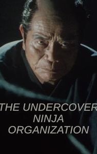 The Undercover Ninja Organization