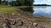 Milfoil in Willand Pond in Dover to be treated with herbicide. Some counselors dissent.