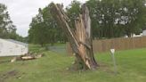 Strong winds shred trees across Warren County Friday morning