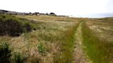 New boardwalk to connect popular SLO County coastal preserve trails. Take a look at the site