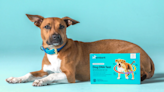 Shop Reviewed-approved Embark dog DNA tests for up to $140 off