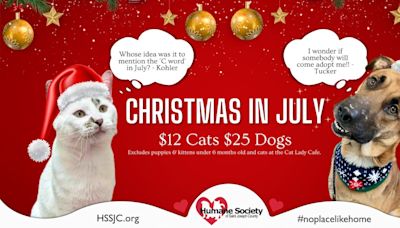 Humane Society of St. Joseph County offering adoption specials for ‘Christmas in July’