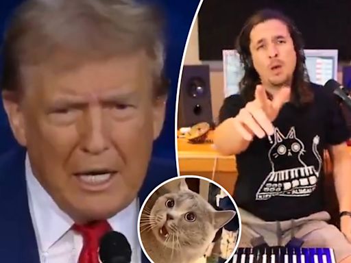 Purr-fect parody! Song poking fun at Trump’s ‘They’re eating the cats’ debate comment goes viral