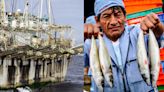 Barco chino pesca ilegalmente en mar peruano y solo recibe una multa de S/ 250: "Suena a broma"