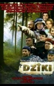 Dziki