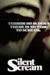 Silent Scream (1979 film)