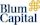 Blum Capital