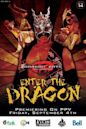 DGUSA Enter the Dragon