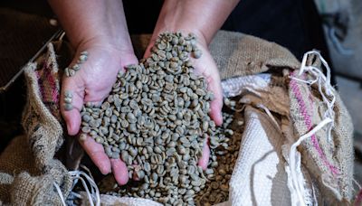 Las exportaciones de café brasileño fueron récord en septiembre con 4,46 millones de sacos del grano