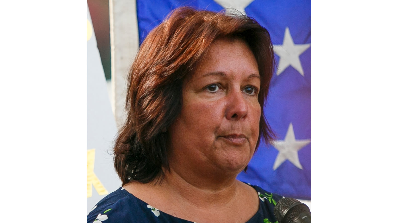 Details emerge about criminal case against Virginia Beach GOP party chairwoman