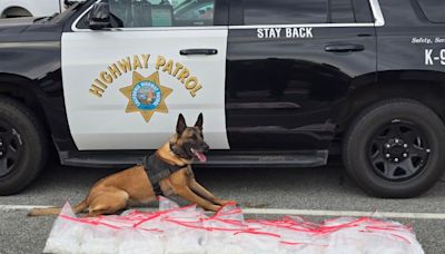 CHP K9 seizes 70 pounds of meth at traffic stop in South Bay