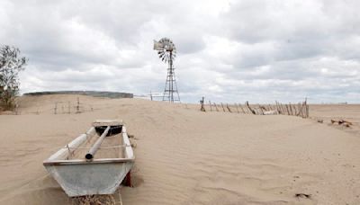 Nuestras tierras. Nuestro futuro: restauración y resiliencia ante la desertificación y la sequía - Diario El Sureño