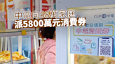 【中環解密】中電向58萬家庭派5800萬元消費券