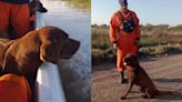 Otra misteriosa muerte que rodea el caso Loan: murió uno de los perros que participó de la búsqueda
