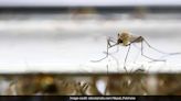 Delhi Health Minister Chairs Meeting Over Preparedness Against Dengue, Malaria | News