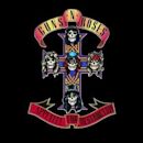 Appetite for Destruction