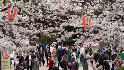 中國富人大量「潤」出 在日本定居者成倍增加