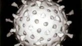 GSK Confirms Rotavirus Vaccine Shortage, Hits Four African Countries: Report