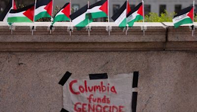 I’m not letting pro-Palestinian protesters decide my choice of college - opinion