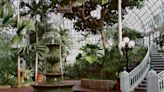 Travel: Greenery can be still seen in the midst of winter at botanical gardens
