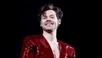 Harry Styles Fan Shares 1-Year Update After Child's Sex Reveal at 2023 London Concert