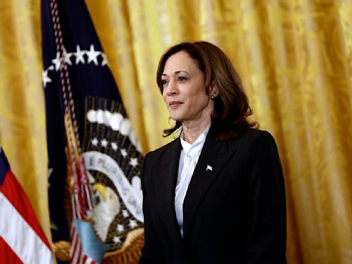 'Dumb' and a 'DEI' candidate: Trump and allies attack Kamala Harris based on race, gender