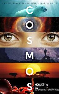 Cosmos: A Spacetime Odyssey