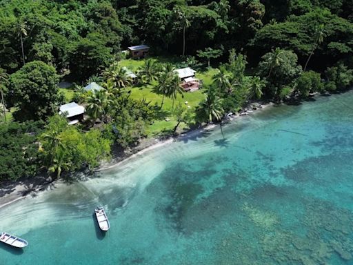 The bucket-list Fiji diving trip proving the true value of ecotourism