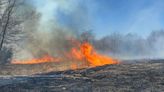 NYS burns hundreds of acres annually with prescribed fire. Landowners want OK to do same.