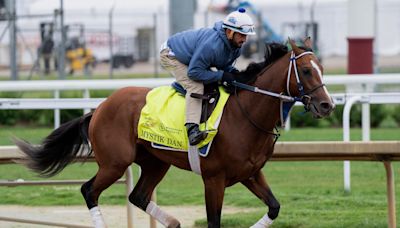 Preakness 2024 horses: Post position draw, where Mystik Dan, other horses will start